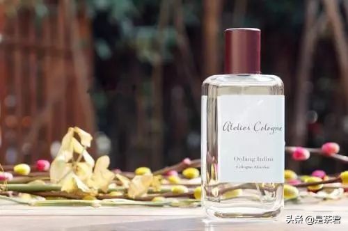 茶也可以做香水？get这一款，茶系仙女轻松修炼