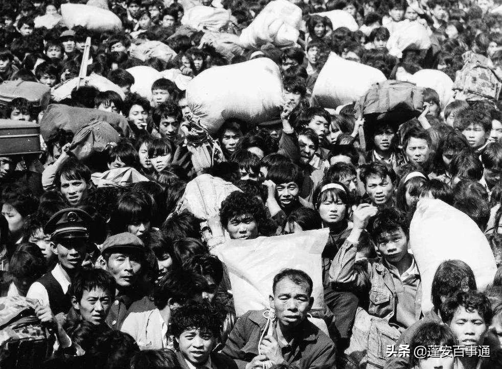 灵活的蛇皮口袋,难忘的蛇皮口袋视频