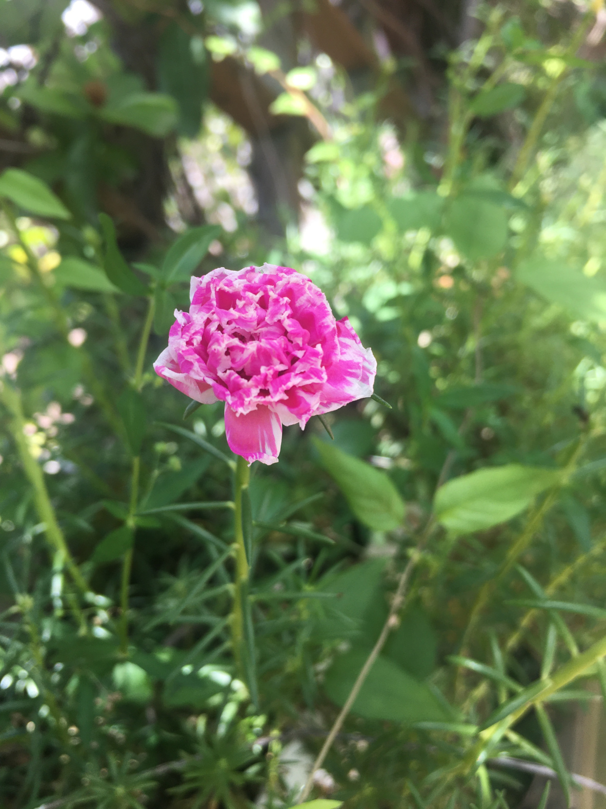 实用亲子英语口语100句,亲子英语之高频用词