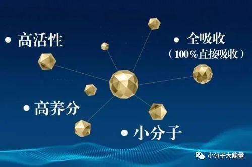 肽营养学与肽临床营养学,临床肽营养学