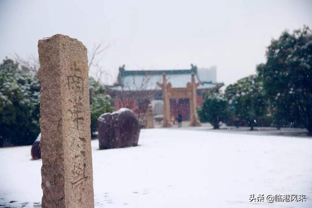 上海有值得一逛的大学吗,上海各大学最适合参观的校区