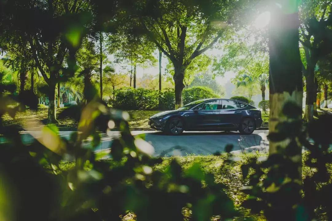 国产model3要交购置税吗,国产model3免征车辆购置税