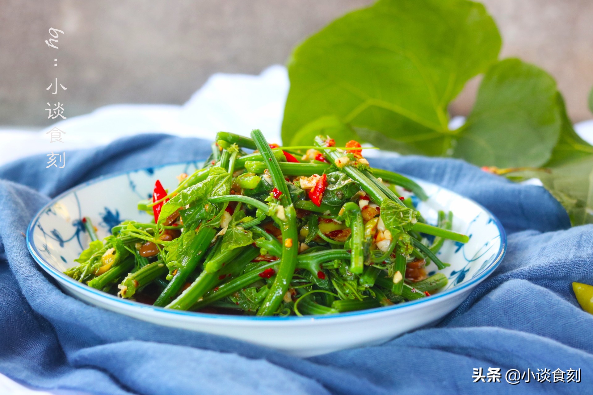 凉拌什么苗好吃又营养呢,什么菜苗可以凉拌好吃