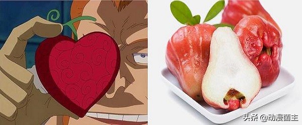 恶魔果实的秘密,神秘恶魔果实到底是哪颗