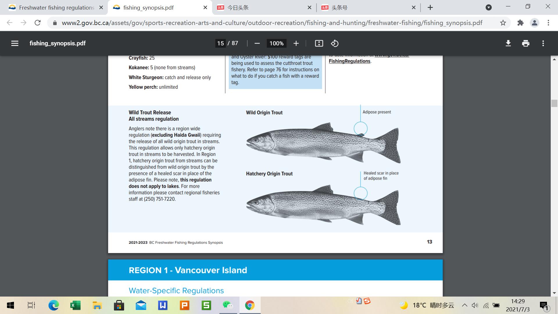 加拿大办理钓鱼证,加拿大钓鱼证