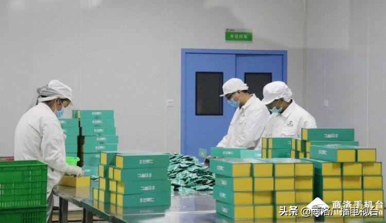 2018商洛市重大项目观摩排名出炉,2018年商洛市重大项目