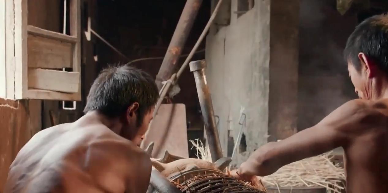 新型全自动大型榨油机全套,小型商用榨油机现榨现卖