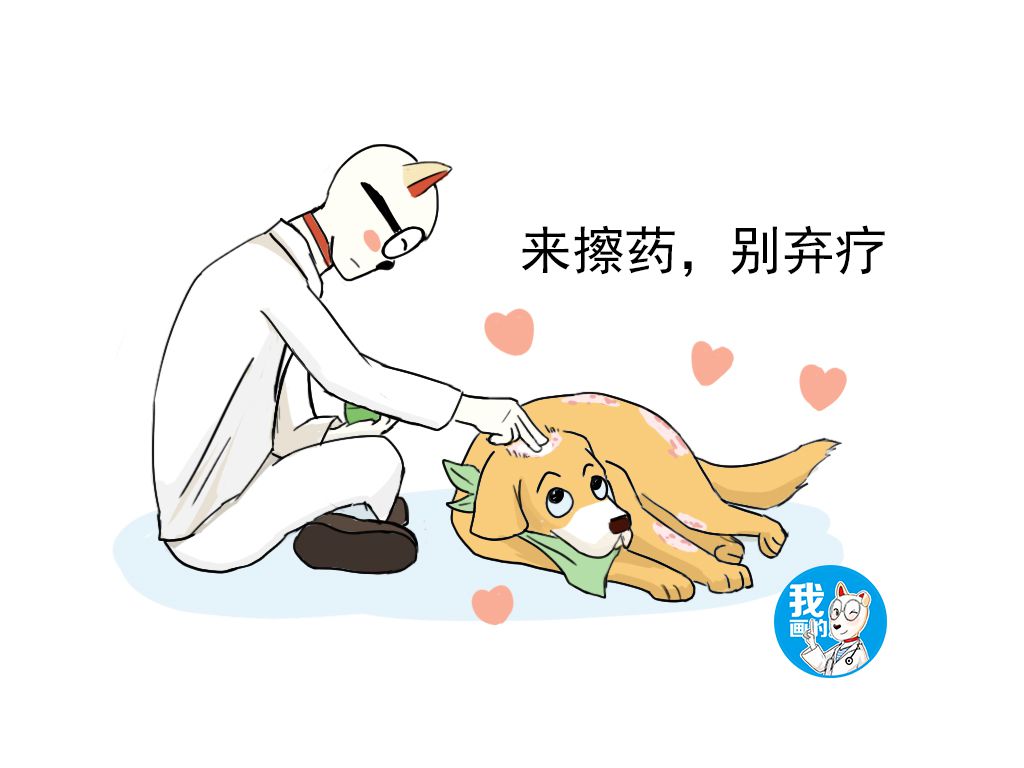 狗狗得了湿疹涂什么,狗狗得湿疹严重的表现