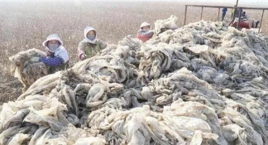 回收垃圾创业成功案例,怎么靠回收垃圾赚钱