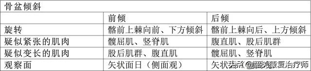什么是下交叉综合征？下交叉综合症的解剖分析与纠正训练