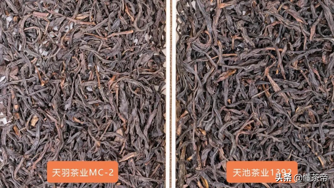 高端单丛蜜兰香,凤凰单丛蜜兰香的优劣区别