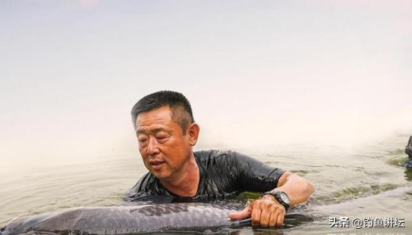 钓鱼饵料的正确开法,钓鱼饵料一般最好不超过几种