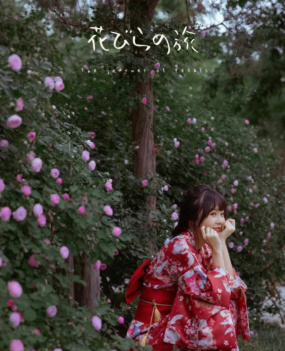 私藏拍照最好的地方,天津适合拍照又安静的地方