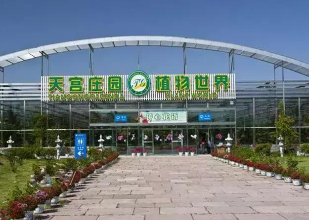 宁波周末带娃玩的好去处,宁波旅游度假山庄