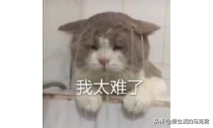 代餐粉减肥测评,减肥餐21天代餐测评