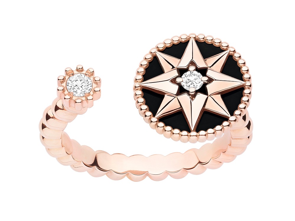 dior设计图手绘,dior罗盘玫瑰价格