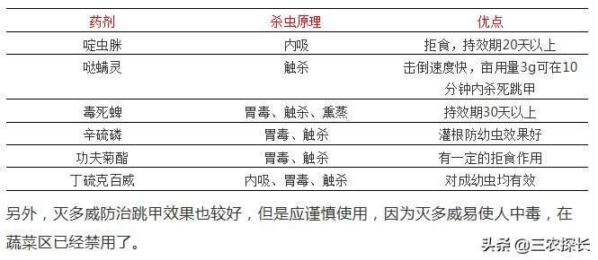 认识害虫和益虫视频,认识害虫教案