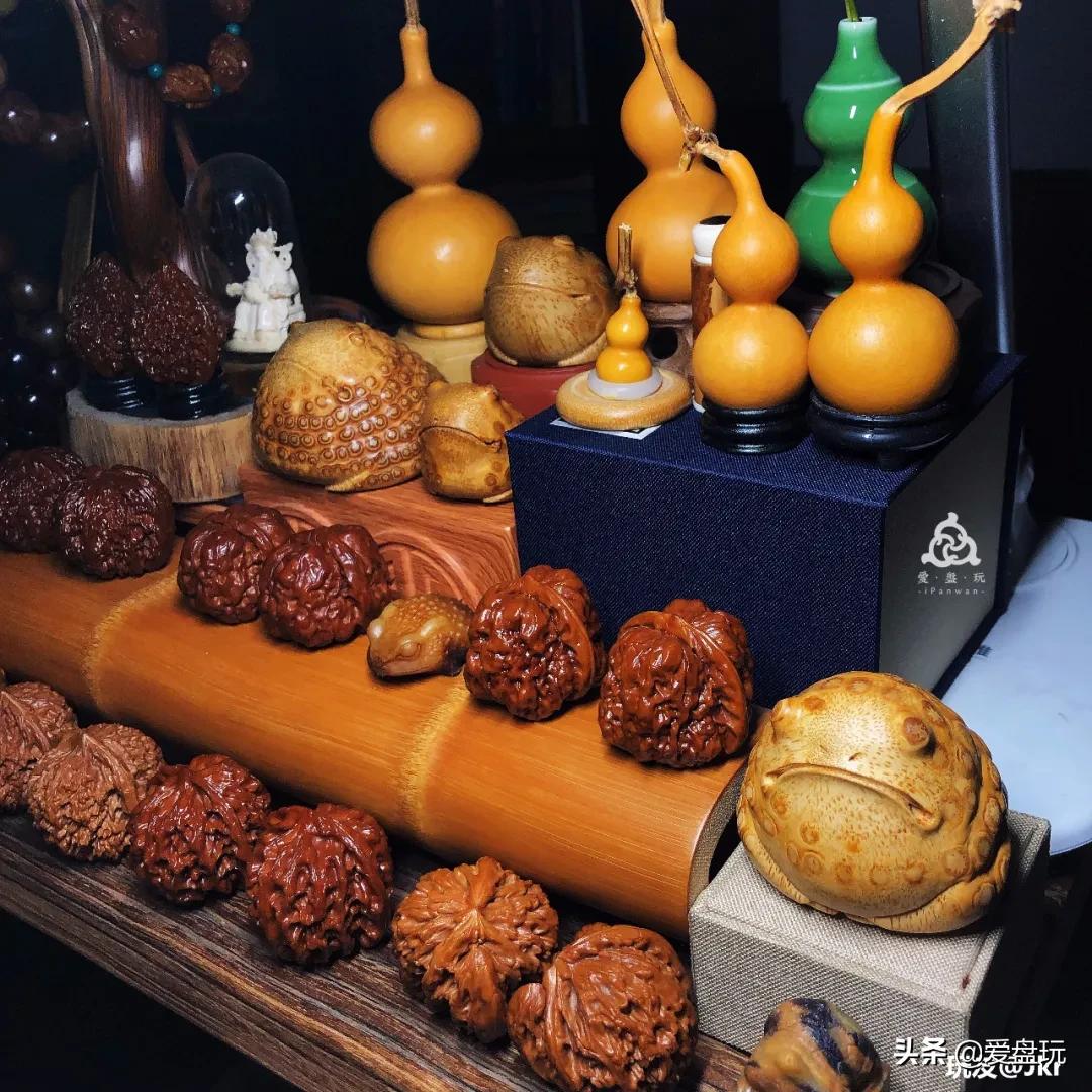 这东西有意思！有人爱到骨子里，有人看都不敢看