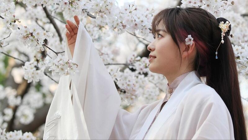 斗破苍穹孙悟空,斗破苍穹最霸气的飞翔之翼