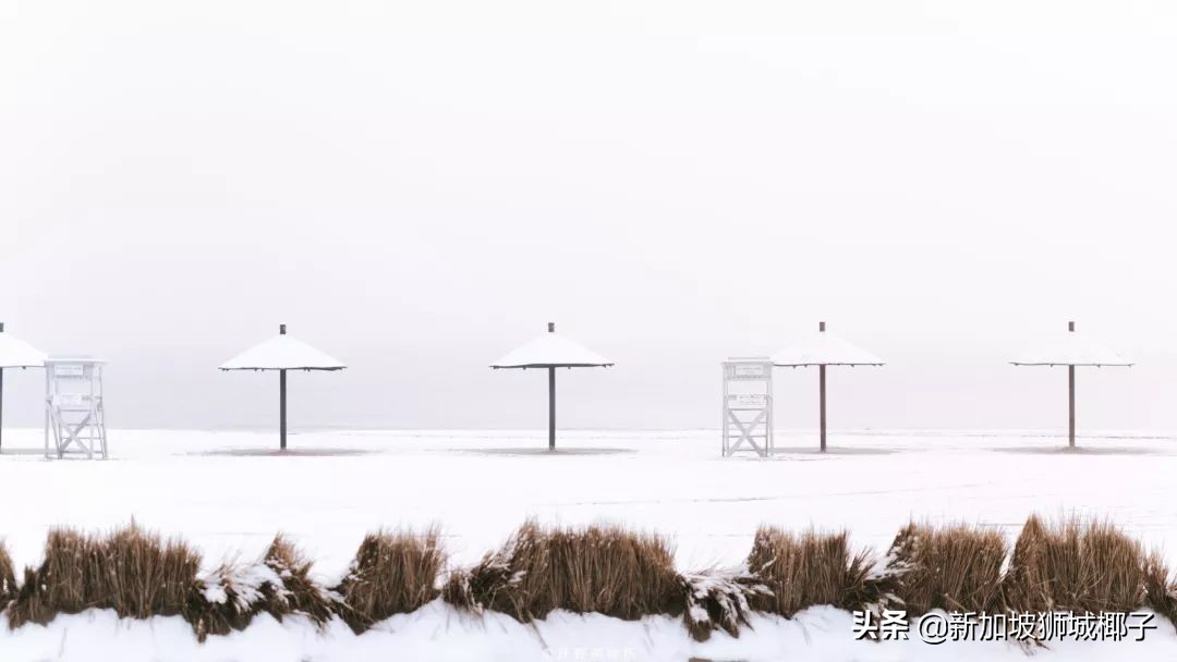 新加坡冻成狗,新加坡狂风暴雨来袭