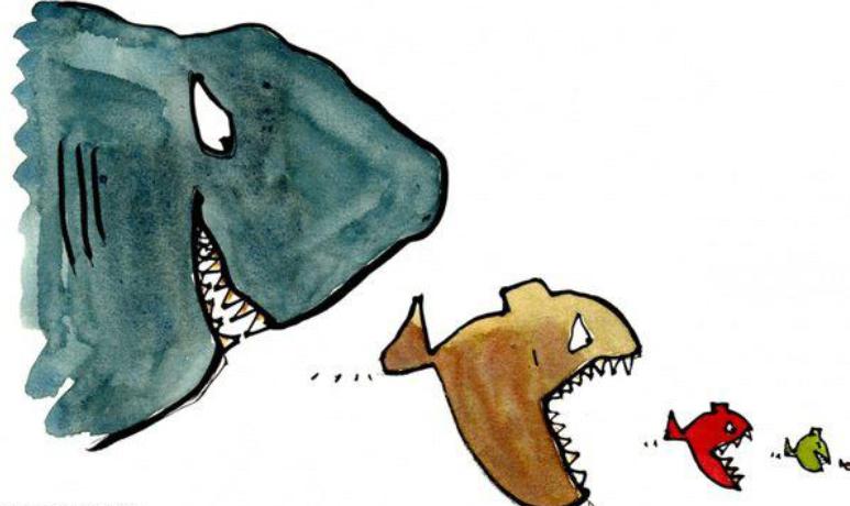 怎么养金鱼金鱼才不会死,正常情况下金鱼可以养多久