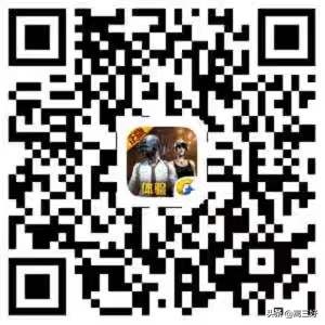 在哪里下国际服体验服和平精英,怎么下载和平精英体验服的国际服