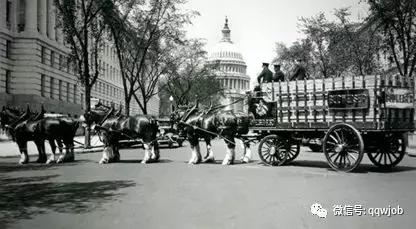 百威中国实习招聘其实百威啤酒已经有100多岁了