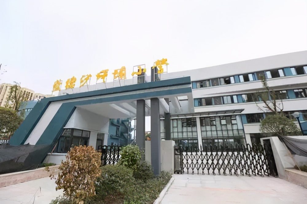 重庆高新区实验小学,重庆高新区小学办学质量