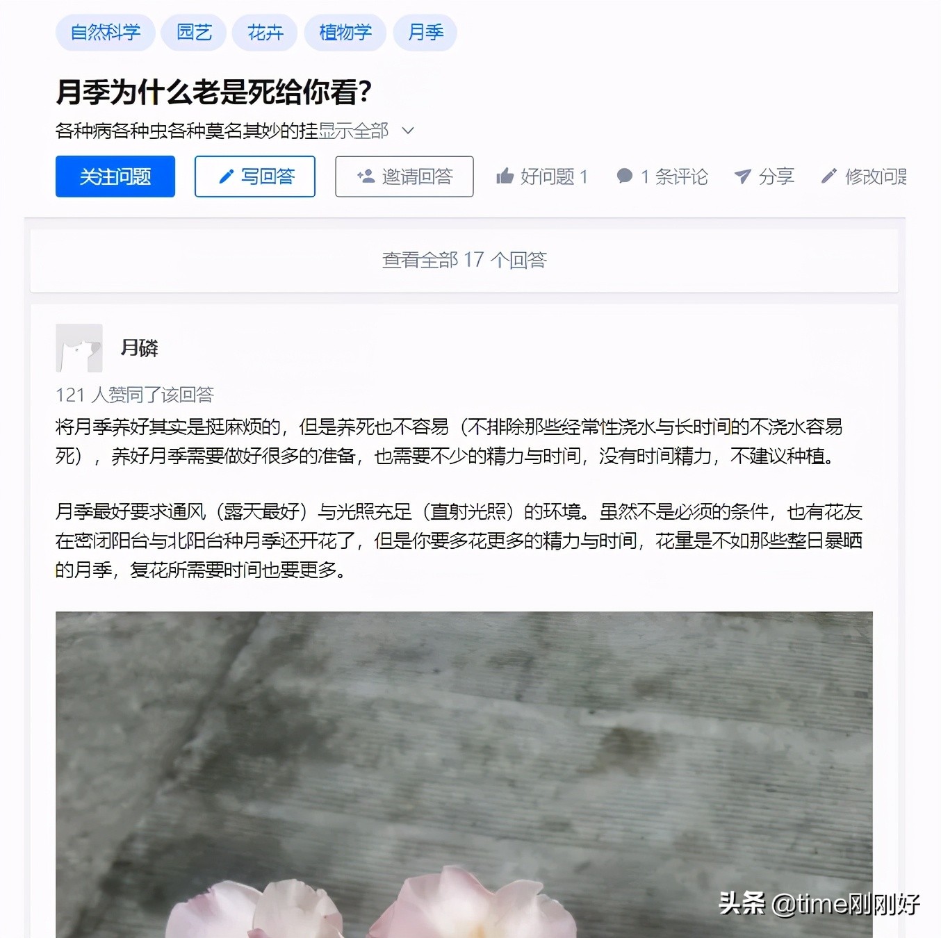 教你做副业带你挣钱,帮你规划人生教你做理财