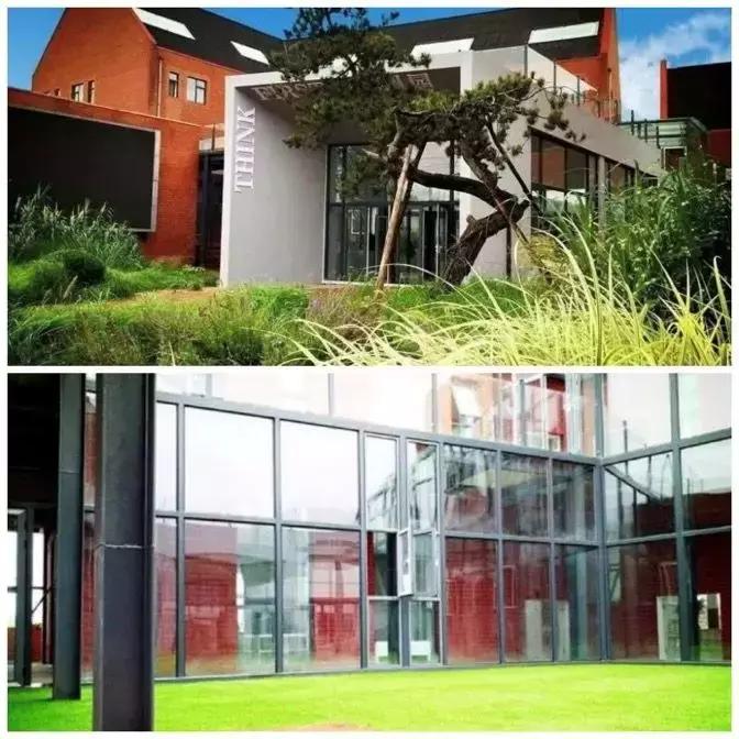 番茄如何赚钱,如何打造一个100亩盈利的农庄