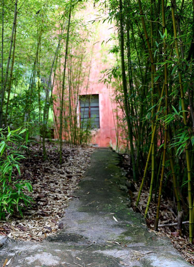 抚仙湖里的小岛,澄江抚仙湖孤山小岛怎么去