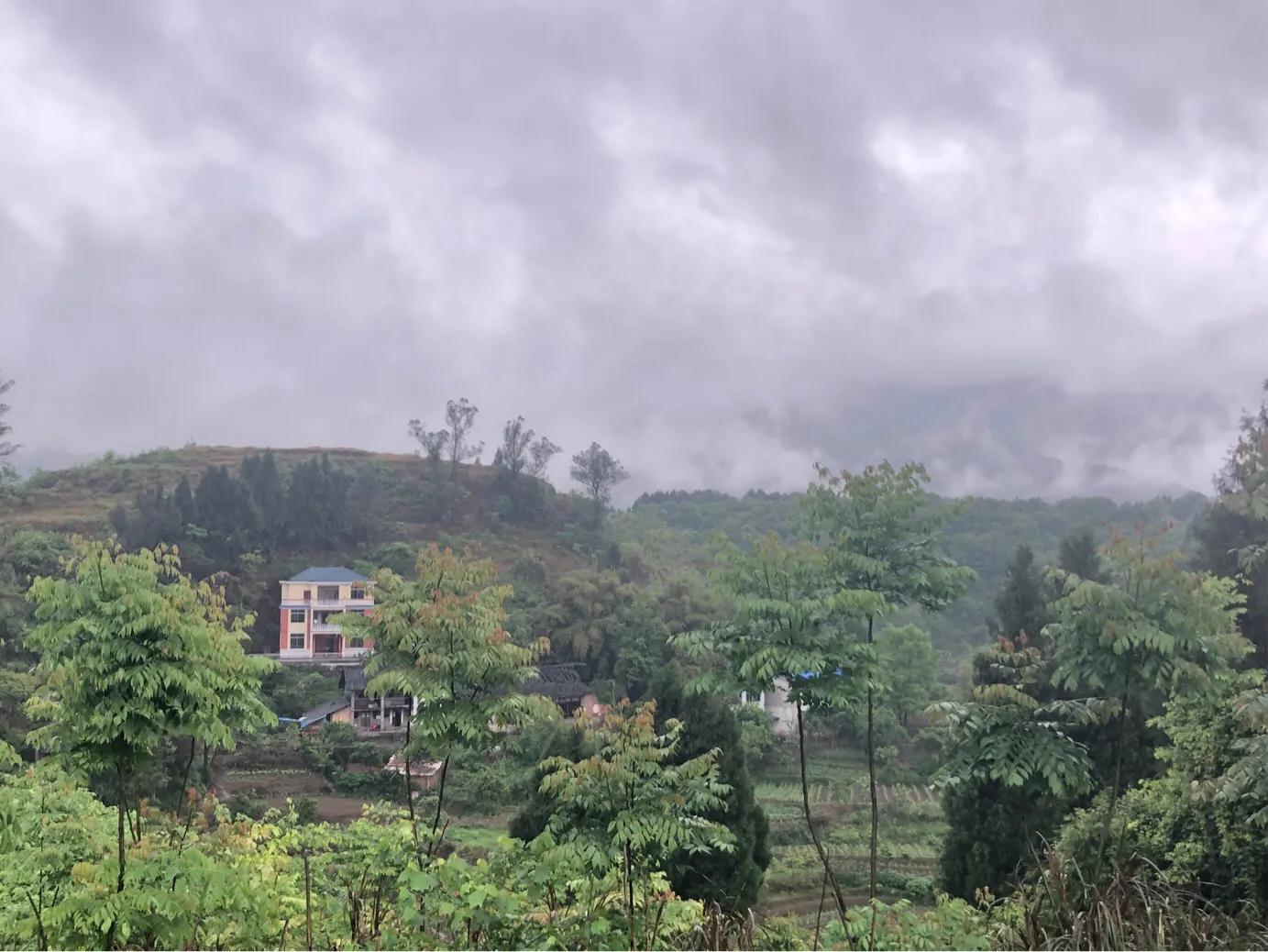 马家岩紫色花树,马家岩宜居