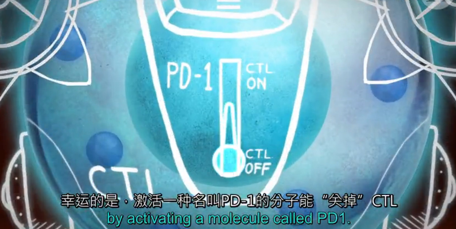 pd1肿瘤免疫治疗现状,什么是pd1免疫治疗费用