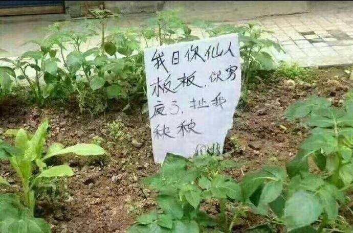 四川话保证你笑到合不拢嘴,四川话能有多萌