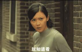 公狗与母狗有什么区别,公狗跟母狗有什么区别吗