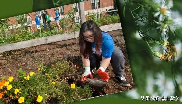 你需要了解的20个问题,国家发布的十大新兴专业