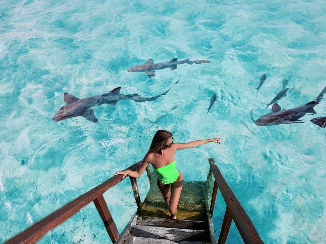 马尔代夫萨芙莉岛排名,马尔代夫萨芙丽岛