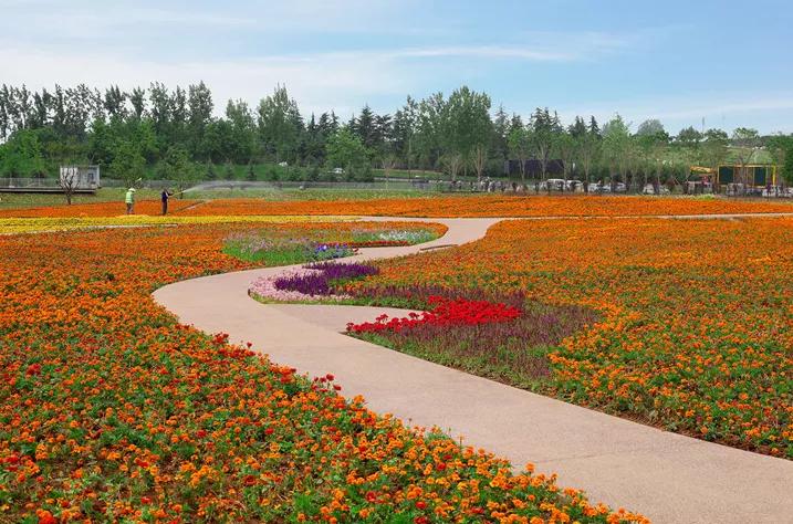 西安公园24小时开放,西安未央湖公园免费开放时间