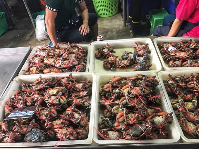 泰国游记感悟几句话,泰国游记vlog