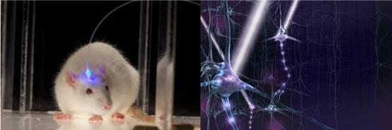 深兰科技现场,深兰科技