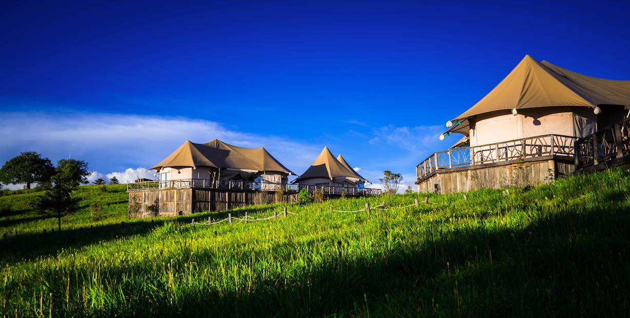 閰掑簵甯冭崏鍝佺墝鍗佸ぇ鎺掕,鍝佺墝閰掑簵鎺掕姒滃墠鍗佸悕