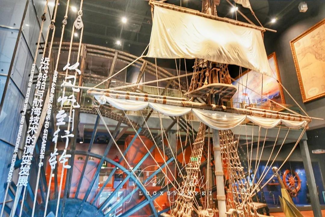 滨海新区海洋博物馆怎样预约,天津滨海亲子游最佳地点