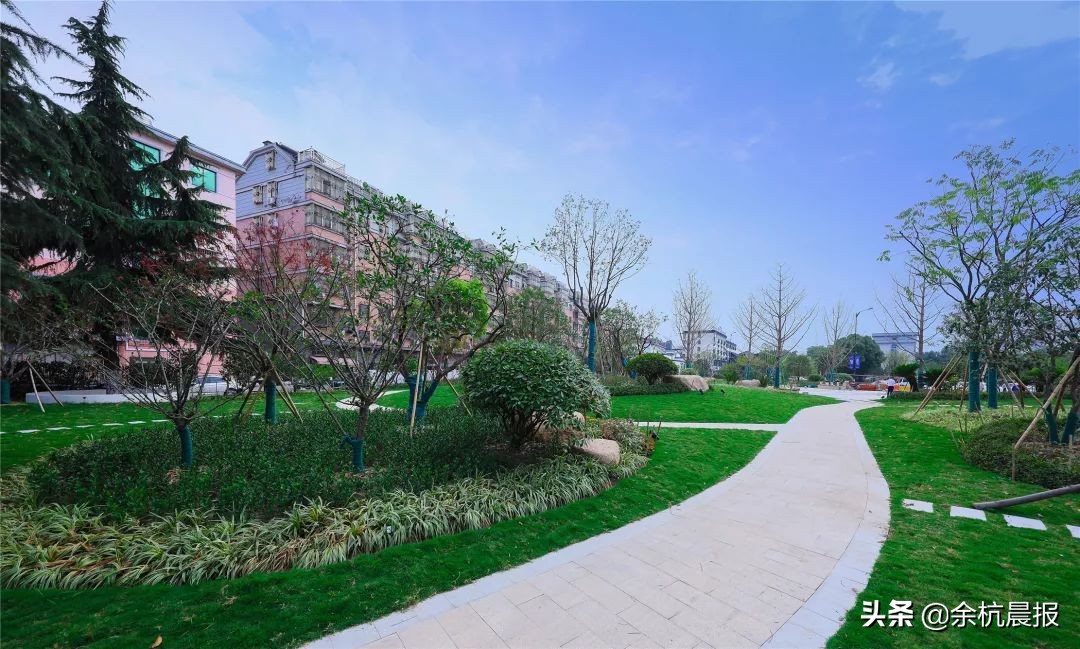 学校扩建,学校扩建项目效果图