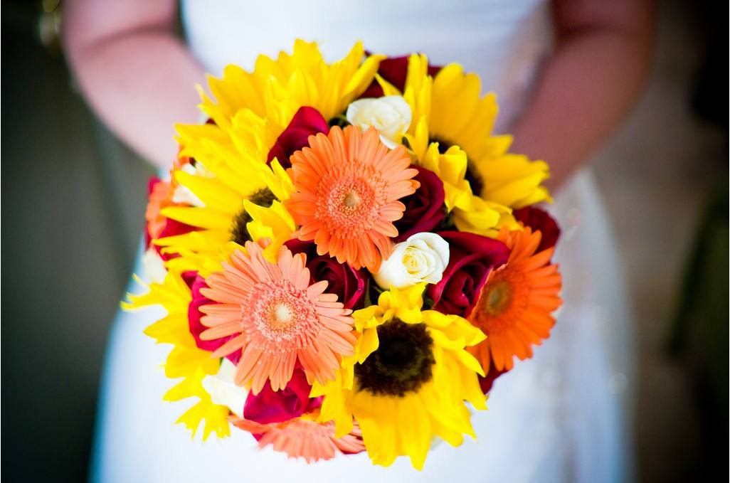 刚装修好的新房种什么植物去甲醛,哪种绿色植物是最有效吸甲醛的