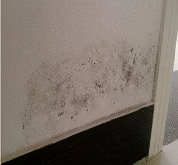 底楼抬高怎么防潮,底楼太潮湿怎么做防潮