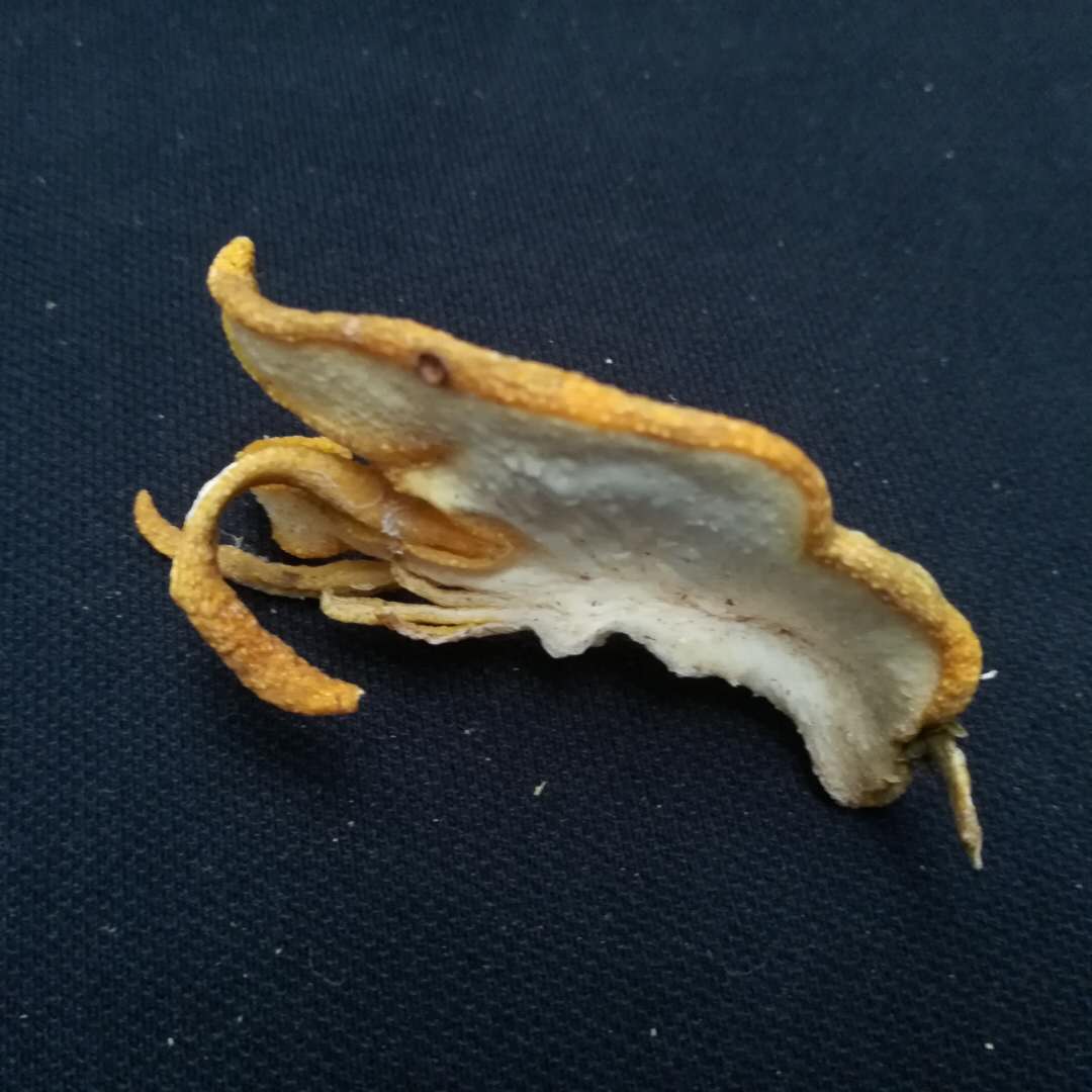 清凉佛手果,佛手果的神奇