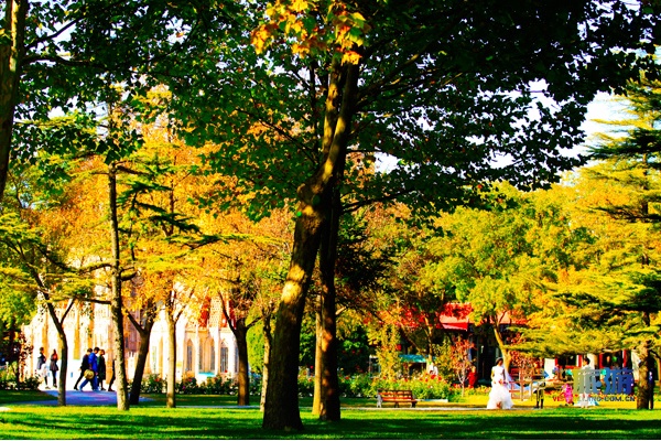 北京世界公园举办2019金秋国际旅游风情节!非洲鼓舞、花车巡游、魔术杂技、非遗打铁花,应有尽有!