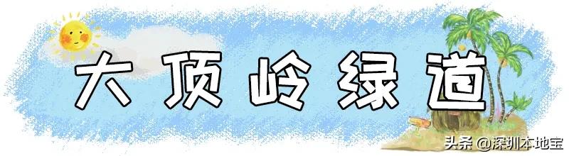 深圳完全免费的十大景点,深圳10大免费景点上集