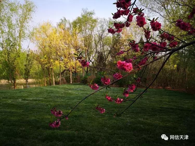 天津津门里巷的感受,津门里巷