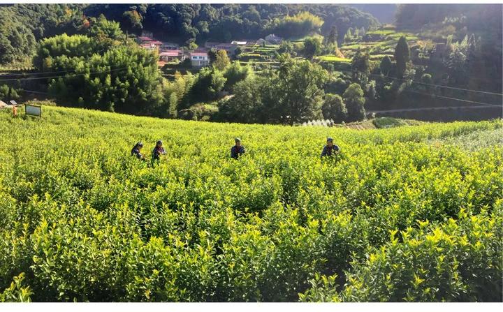 72条自驾游路线推荐,诗与远方的房车自驾游